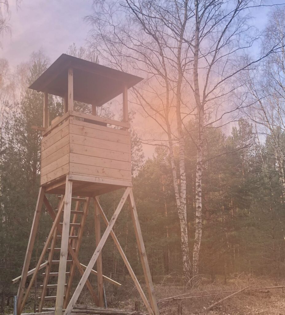 Watchtower als Teil eines Leadership Coachings zur Vertiefung der Erkenntnisse